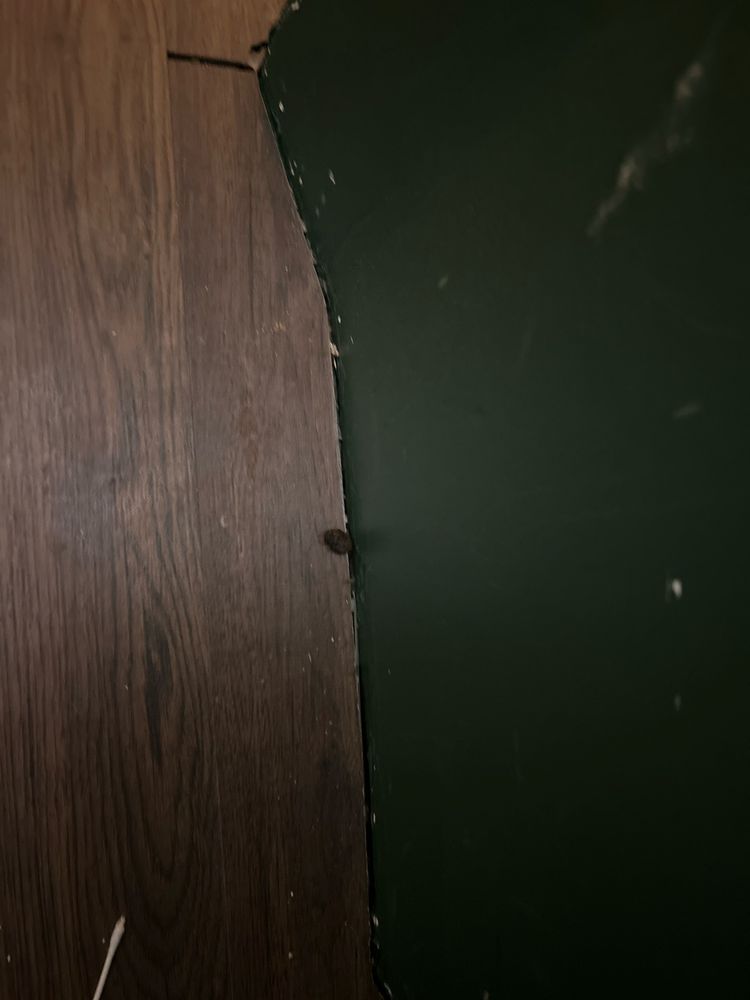 Slide of Mammoth Restoration Arizona