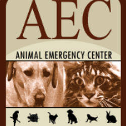 Animal Emergency Center - Rochester