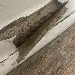 Woodbridge Apartments - Living room trim. Black mold.