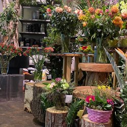 Fojtl Hydrokultur - Blumenauswahl