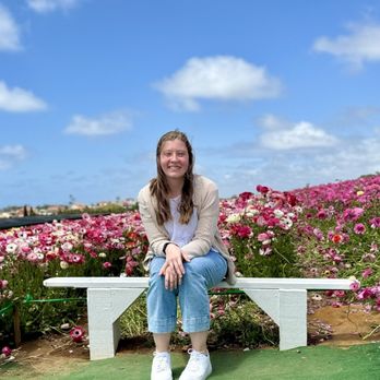 The Flower Fields - Tons of photo opportunities!! - Venues & Event Spaces Near Me - Carlsbad, California The Flower Fields - Tons of photo opportunities!! - Venues & Event Spaces Near Me - Carlsbad, California