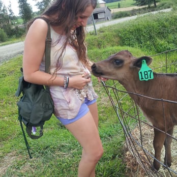 Neighborly Farms - a woman feeding a calf - Cheese Shops Near Me - Randolph, Vermont Neighborly Farms - a woman feeding a calf - Cheese Shops Near Me - Randolph, Vermont