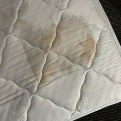 La Quinta by Wyndham Harrisburg Airport Hershey - Bedbugs