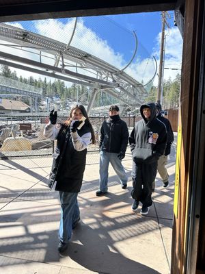 Alpine Slide at Magic Mountain by null