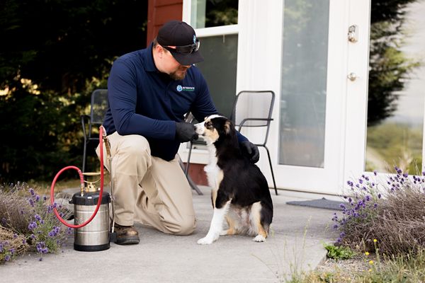 Interstate Pest Management