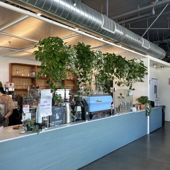 Kinfolx - Pothos hovering over the barista bar - Coffee & Tea Near Me - Oakland, California