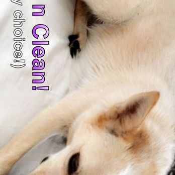 Pups-N-Suds - Pet Groomers Near Me - Gardner, Kansas
