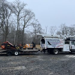 Fly With Freedom Tree Service