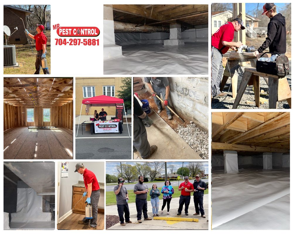 MR. PEST CONTROL Updated August 2024 29 Photos 12434 East Dixon Blvd, Shelby, North