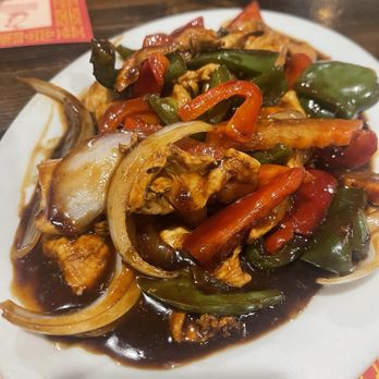 New Apolo - Chicken W. Garlic Sauce - A dish featuring chicken with garlic sauce served with red and green bell peppers, onions, and other vegetables on a white plate. - Chinese Near Me - Brooklyn, New York