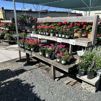 SARGENT’S ON 2ND - Updated March 2026 - 153 Photos & 11 Reviews - 1811 ...