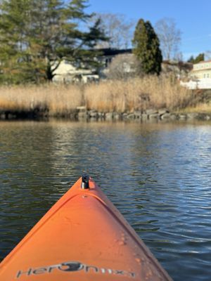 Adventure Mystic Kayak/SUP/Bike Rental & Retail Shop by null