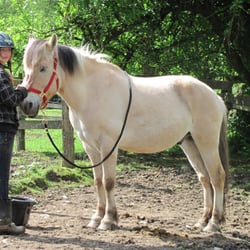 Horse Country Farm - Katie and Houston