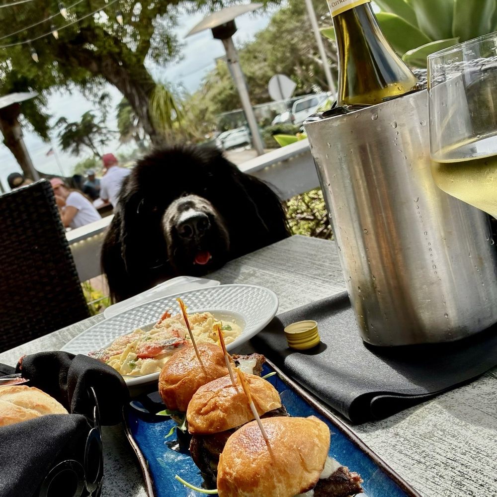 Sbicca Del Mar - Sliders + shrimp fettuccine +bread - Wine Bars Near Me - Del Mar, California Sbicca Del Mar - Sliders + shrimp fettuccine +bread - Wine Bars Near Me - Del Mar, California