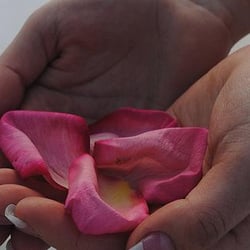 Teena Welch Massage & Body Work - You'll be in good hands.