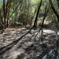 Sheldon Creek Recreation Site - Campsite with no pit