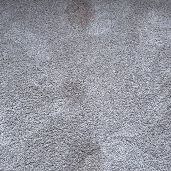 Oxi Fresh Carpet Cleaning - Carpet Cleaning Near Me Oxi Fresh Carpet Cleaning - Carpet Cleaning Near Me