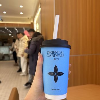 Molly Tea - Gardenia Milk Tea - Bubble Tea Near Me - Chicago, Illinois