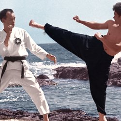 Jhoon Rhee Tae Kwon Do - Grandmaster Rhee and Bruce Lee training in California.
