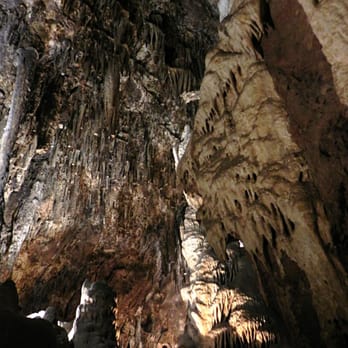 Colossal Cave Mountain Park - Crystal Forest room - Museums Near Me - Vail, Arizona Colossal Cave Mountain Park - Crystal Forest room - Museums Near Me - Vail, Arizona