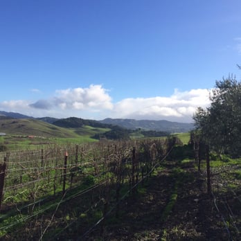 Azari Winery and Vineyards - Wine Tours Near Me - Petaluma, California