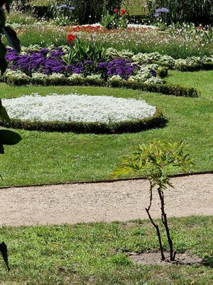 Sanssouci Park by null
