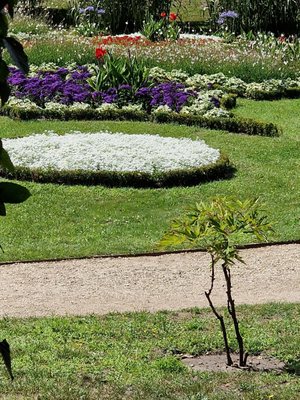 Photo of Park Sanssouci - Potsdam, BB, DE.