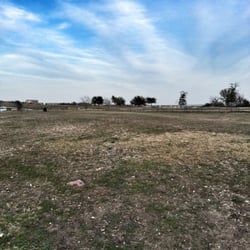 Plum Creek Dog Park - Dog park. aka wasteland.