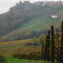 Photo of barolo 2005