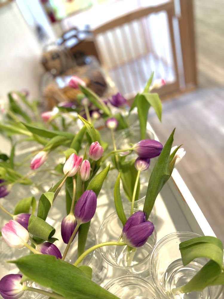 Kidspia Preschool - childcare center in Santa Ana, CA