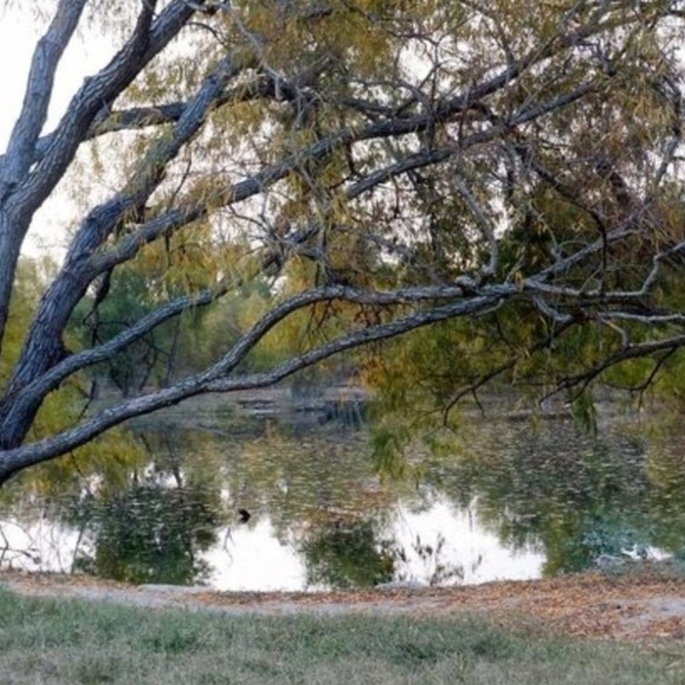 Leon Creek Greenway - Parks Near Me - San Antonio, Texas Leon Creek Greenway - Parks Near Me - San Antonio, Texas