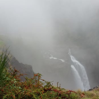 Snoqualmie Falls - The waterfall. - Parks Near Me - Snoqualmie, Washington