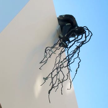 Venice Statepark - Beautiful sculpture atop the nearby LA Louver museum. - Beaches Near Me - Venice, California Venice Statepark - Beautiful sculpture atop the nearby LA Louver museum. - Beaches Near Me - Venice, California