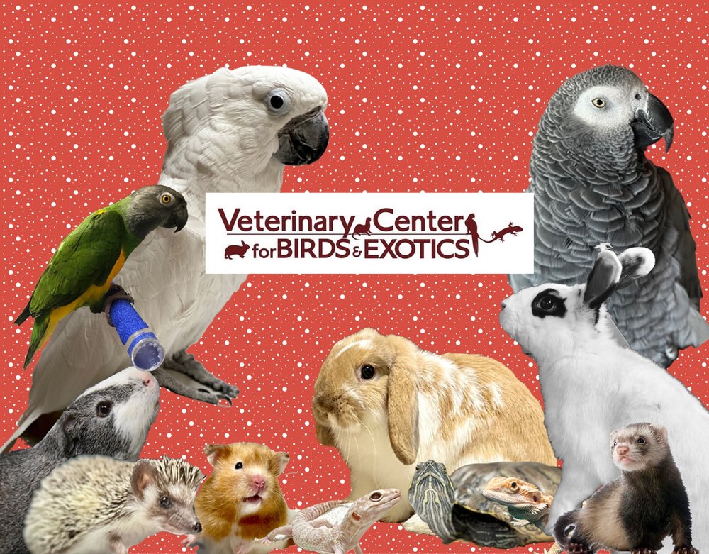 VETERINARY CENTER FOR BIRDS & EXOTICS Updated May 2024 25 Photos & 50 Reviews 709 Bedford
