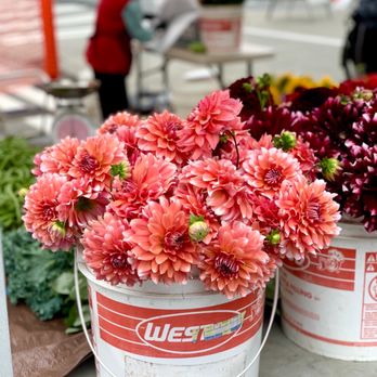 FREMONT SUNDAY MARKET - Updated February 2025 - 382 Photos & 207