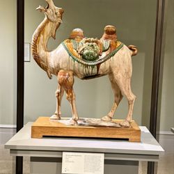 Wadsworth Atheneum Museum of Art - Bactrian Camel from Tang Dynasty. Absolutely magnificent to see in person!