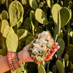 Nopal huarache