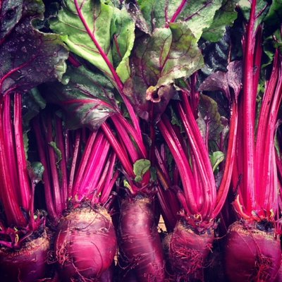Morningside Farmer's Market by null