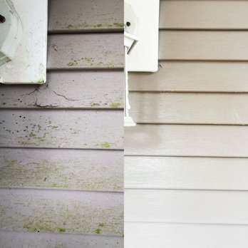 Rainforest Cleaning - Siding cleaning - Home Cleaning Near Me Rainforest Cleaning - Siding cleaning - Home Cleaning Near Me