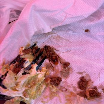 Jimboy's Tacos - Huge cock roach in my taco salad - Mexican Near Me - Sacramento, California Jimboy's Tacos - Huge cock roach in my taco salad - Mexican Near Me - Sacramento, California