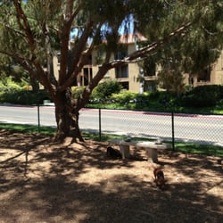 La Jolla Colony Dog Park