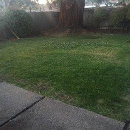 Old patio was separate blocks with big gaps Old patio was separate blocks with big gaps