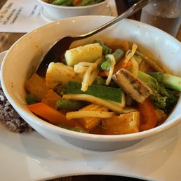 Ty Fun Jungle Curry Ty Fun Jungle Curry