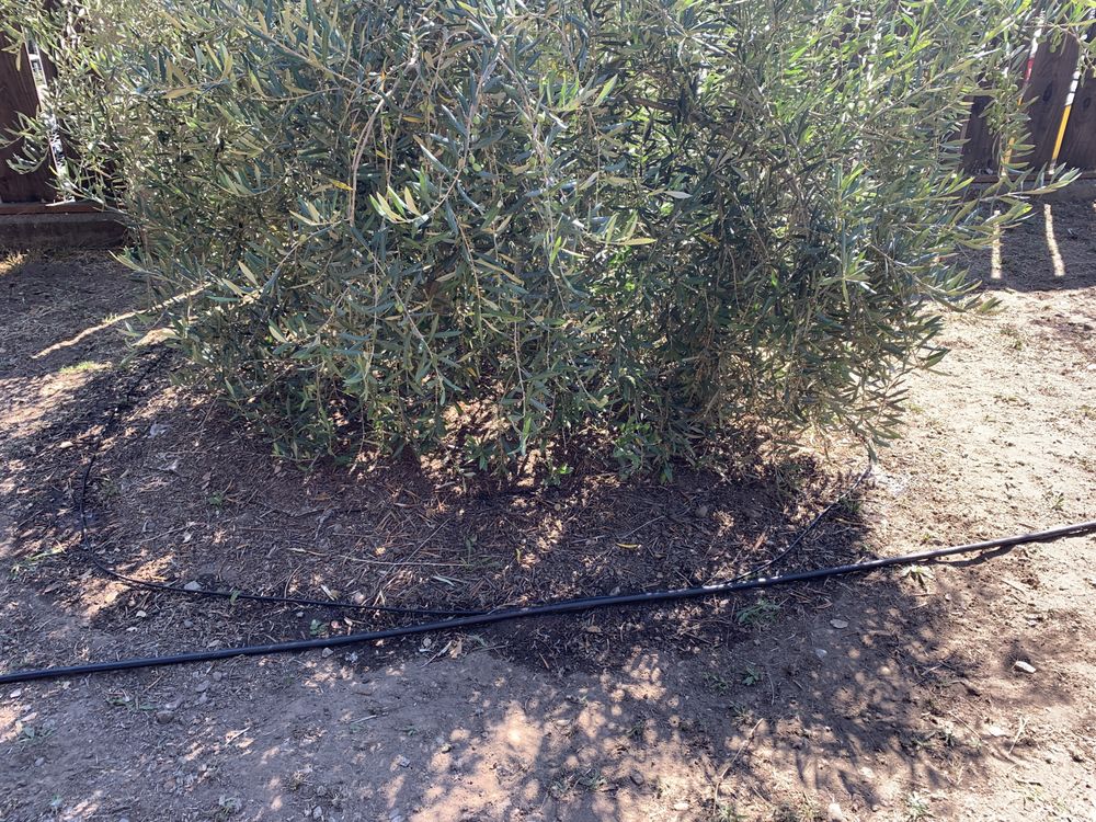 PAJARO VALLEY IRRIGATION Updated June 2024 595 Judd Rd, Watsonville