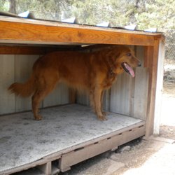 Chris McKelvey School of Dog Training
