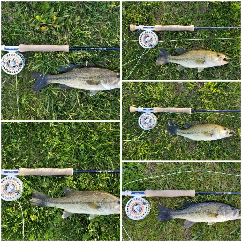 Tkg Fly Fishing Logo