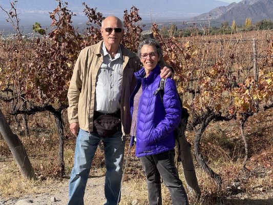 Piattelli Vineyards by null