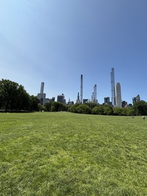 Sheep Meadow by null