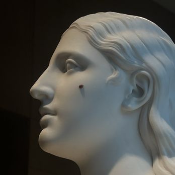 Cincinnati Art Museum - Ladybug on statue:) - Art Museums Near Me - Cincinnati, Ohio