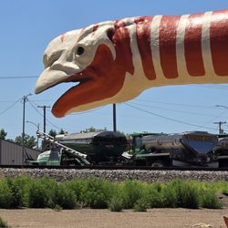 Great Plains Dinosaur Museum
